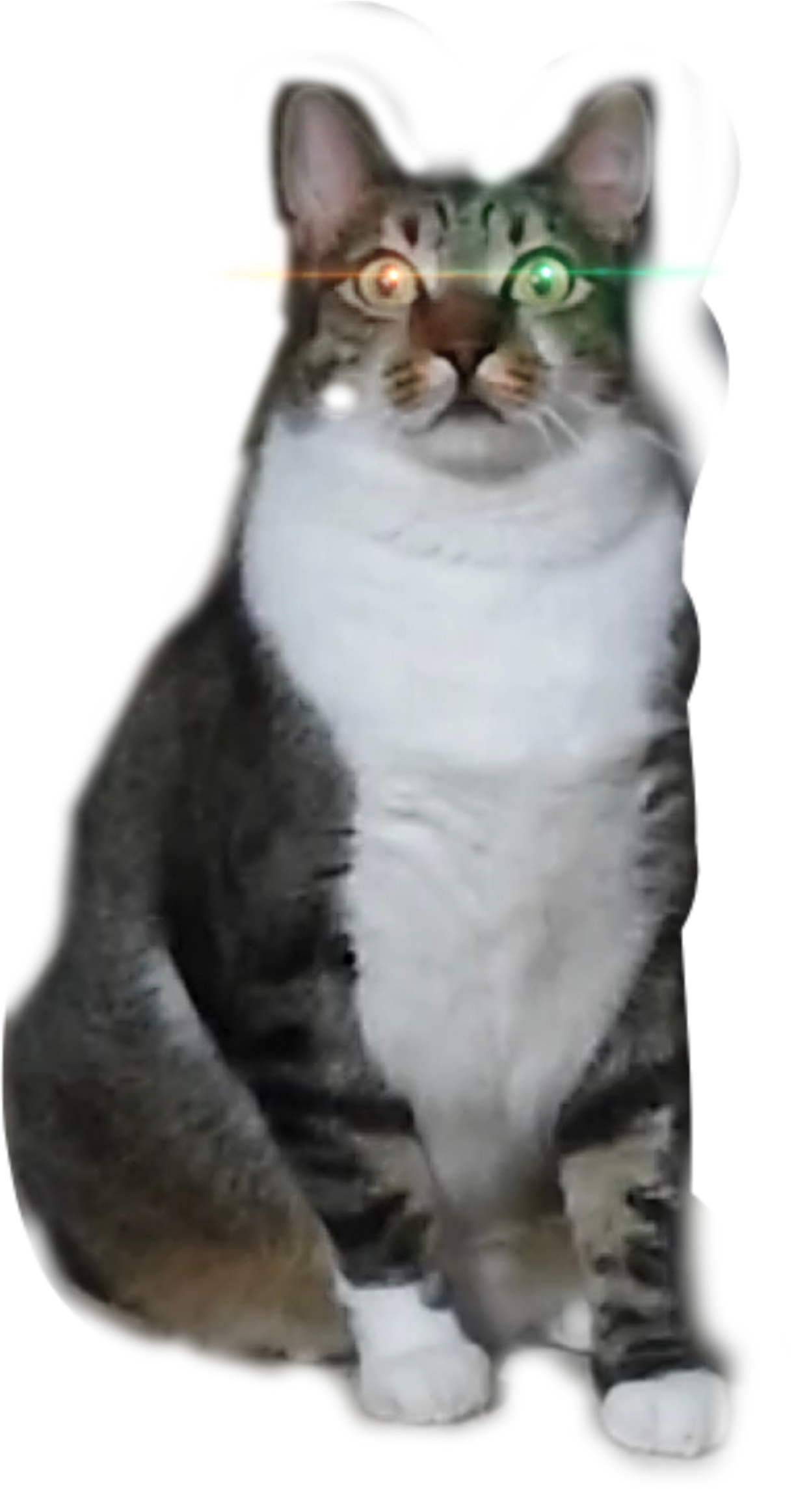 314